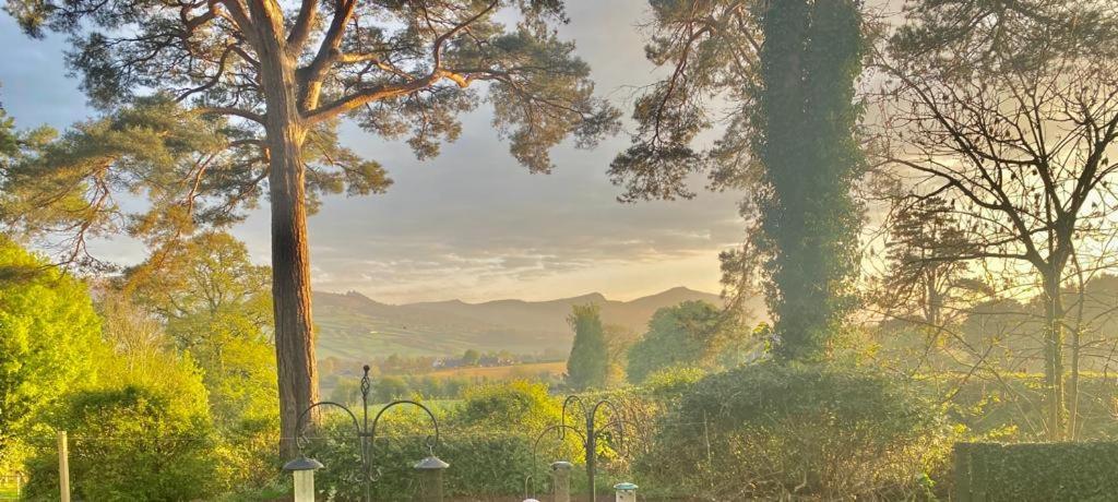 Mountain Suite, Stunning Views, Brecon Beacons Llanhamlach المظهر الخارجي الصورة